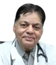 K. K. Pareek
